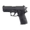 P229 NITRON COMPACT (10RD)