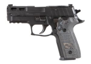 P229 PRO (10RD)