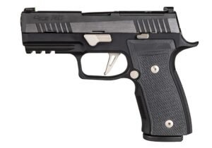 P320 AXG EQUINOX (10RD)