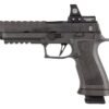 P320MAX (21RD)