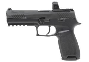 P320 RXZP (10RD)