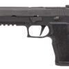 P320-XTEN (15RD)