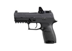 P320 RXP COMPACT (10RD)