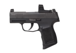 P365-380 ROMEOZERO ELITE (10RD)