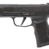 P365 XL (10RD)