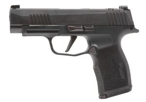 P365 XL (10RD)