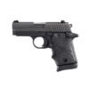 P938 BRG MICRO-COMPACT (7RD)