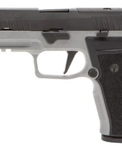 P320 AXG CARRY (17RD)
