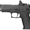 P226 ZEV (15RD)