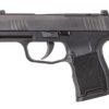 P365-380 (10RD)