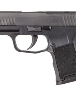 P365-380 (10RD)