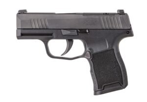 P365-380 (10RD)