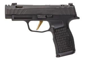 P365XL SPECTRE COMP (10RD)