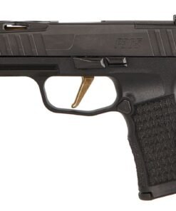 P365XL SPECTRE (12RD)