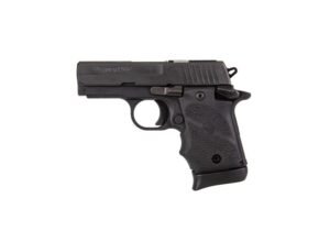 P938 SAS MICRO-COMPACT (7RD)